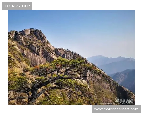 罗本评卡尔真正的伟大不在登顶而在长期保持巅峰状态的坚韧